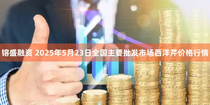 镕盛融资 2025年5月23日全国主要批发市场西洋芹价格行情