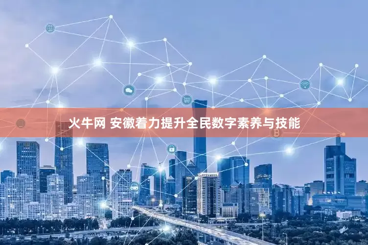 火牛网 安徽着力提升全民数字素养与技能