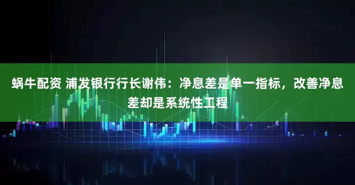 蜗牛配资 浦发银行行长谢伟：净息差是单一指标，改善净息差却是系统性工程