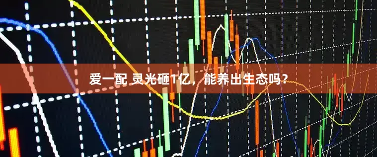 爱一配 灵光砸1亿，能养出生态吗？